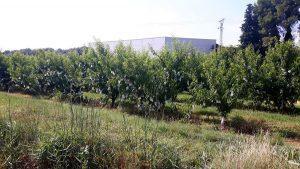 Centrimerca en Cooperativa de San-Miguel 4